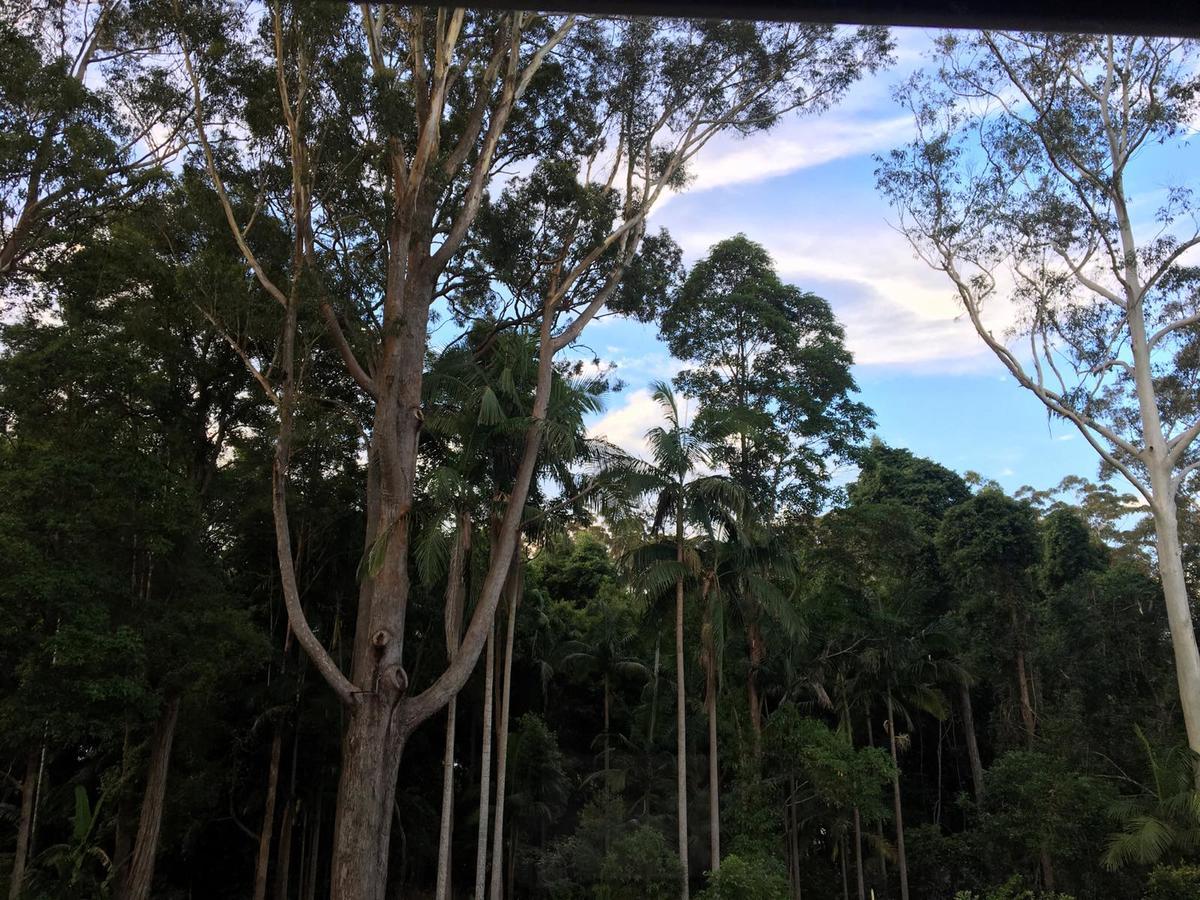Mapleton Cabins & Caravan Park Bagian luar foto